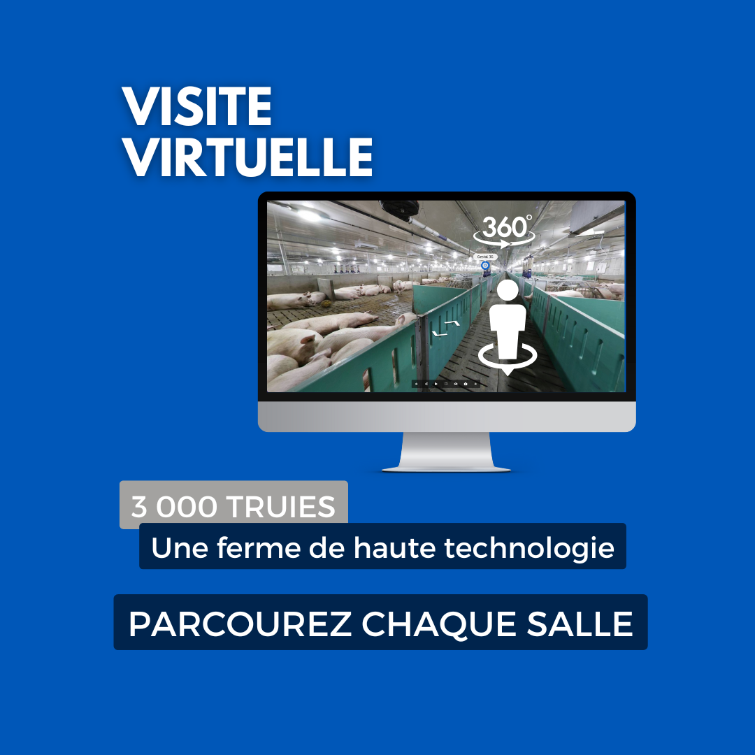 Faites la visite d'une ferme porcine