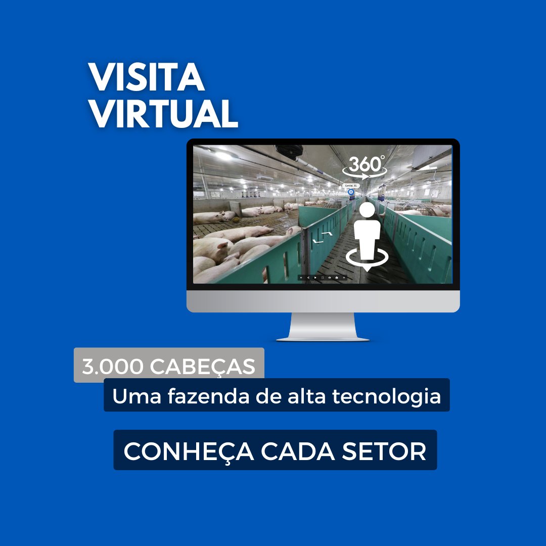 Visite uma Fazenda de Porcas