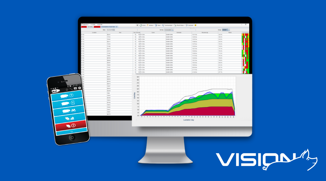 VISION dashboard for pig farm