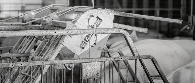 GESTAL crate in black and white