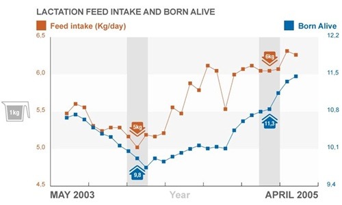 m_consumption+born-alive