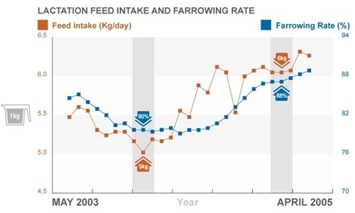 m_consumption-+-farrowing-rate