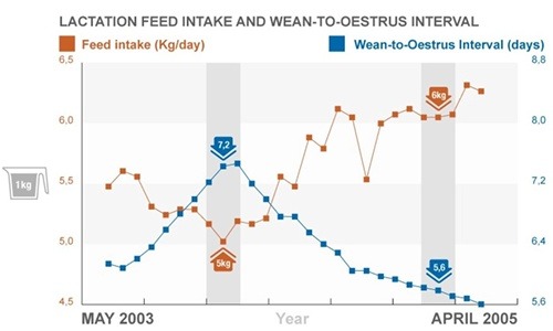 m_consumption+oestrus