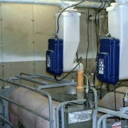 Gestal FM installed on automatic feed delivery system