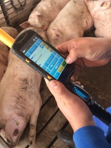 Gestal Mobile being used inthe farm