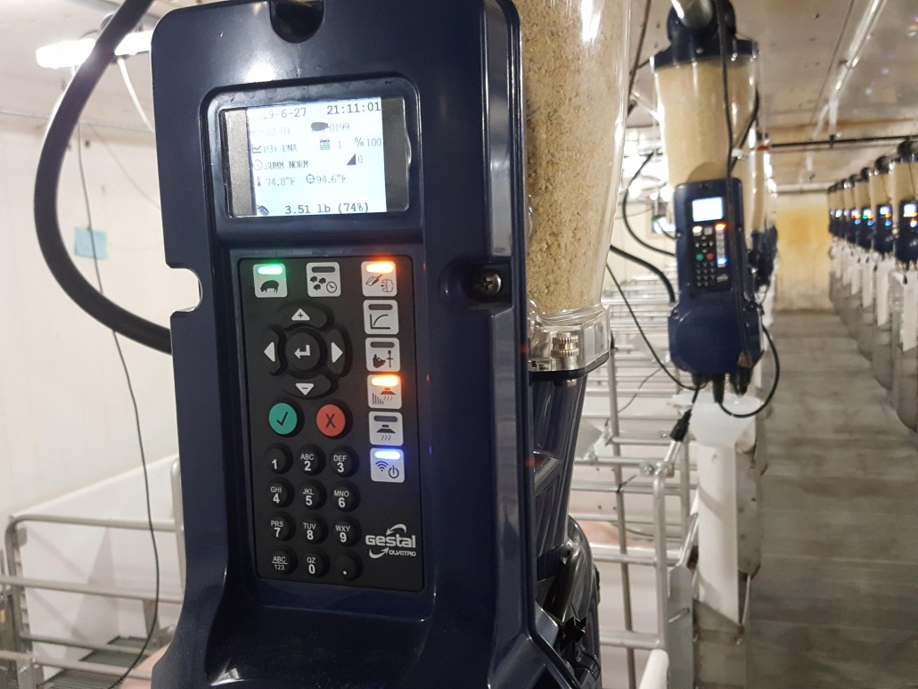 Gestal Quattro performance feeder can motivate the sow to eat at defined periods of the day and shows her consumption amount on the screen vs. targets for her parity and day of lactation. This feeder can also control the piglet microenvironment.