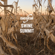Gestal Swine Summit