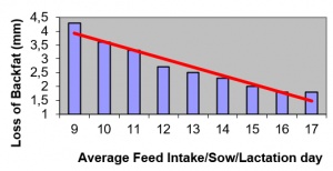 loss of backfat vs feed intake