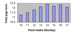 Feed intake during lactation