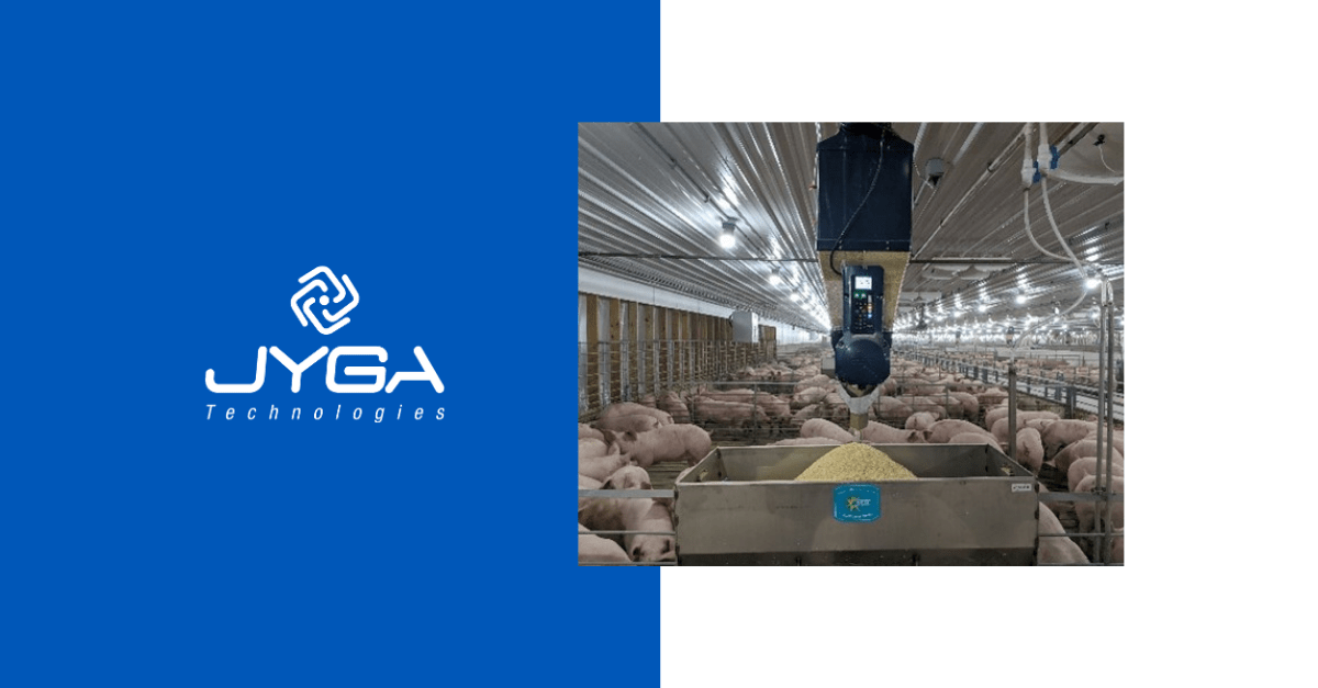 Find Swine Feeding Solutions for your pork farm- Jyga Technologies