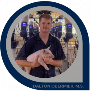 image dalton obermier