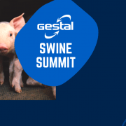 Gestal Swine Summit