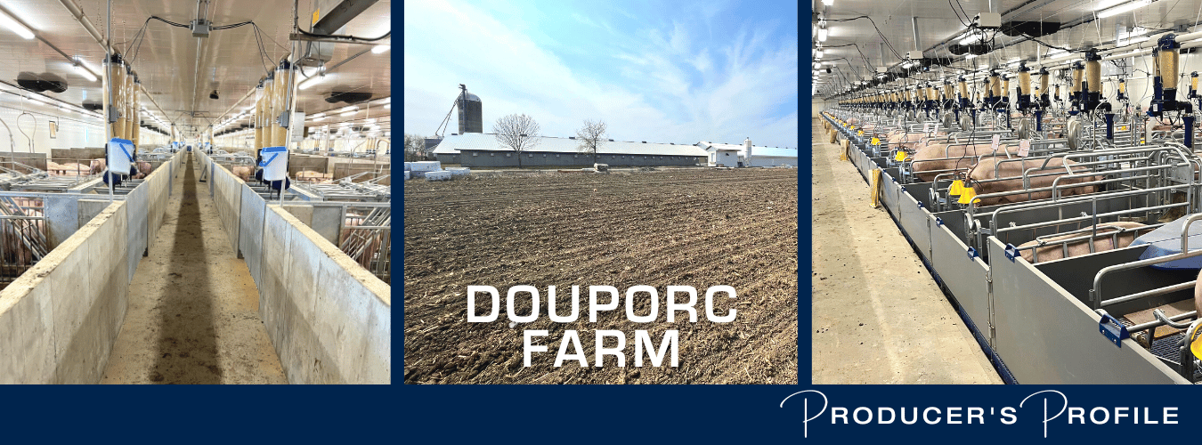 Producer's Profil: Douporc Farm