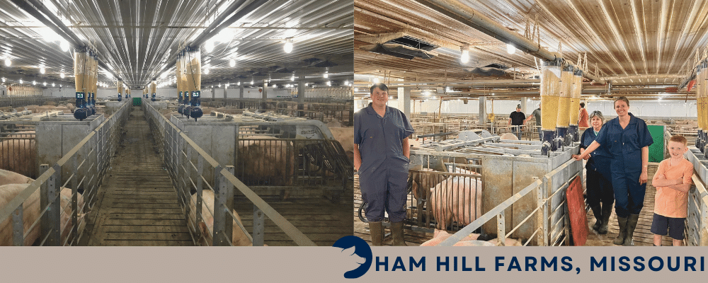 Ham Hill Farms - GESTAL testimonial