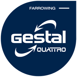 GESTAL Quattro