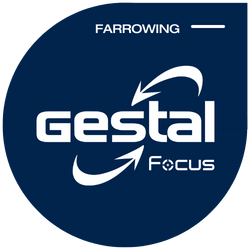 GESTAL Focus