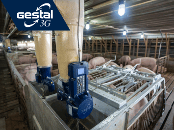 GESTAL 3G