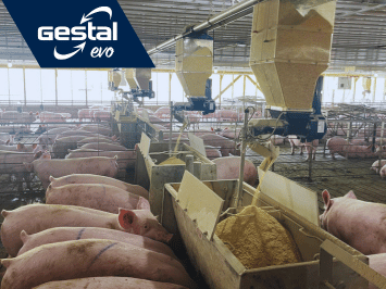 GESTAL Evo