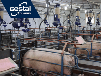GESTAL Quattro