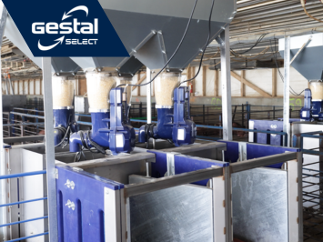 GESTAL Select
