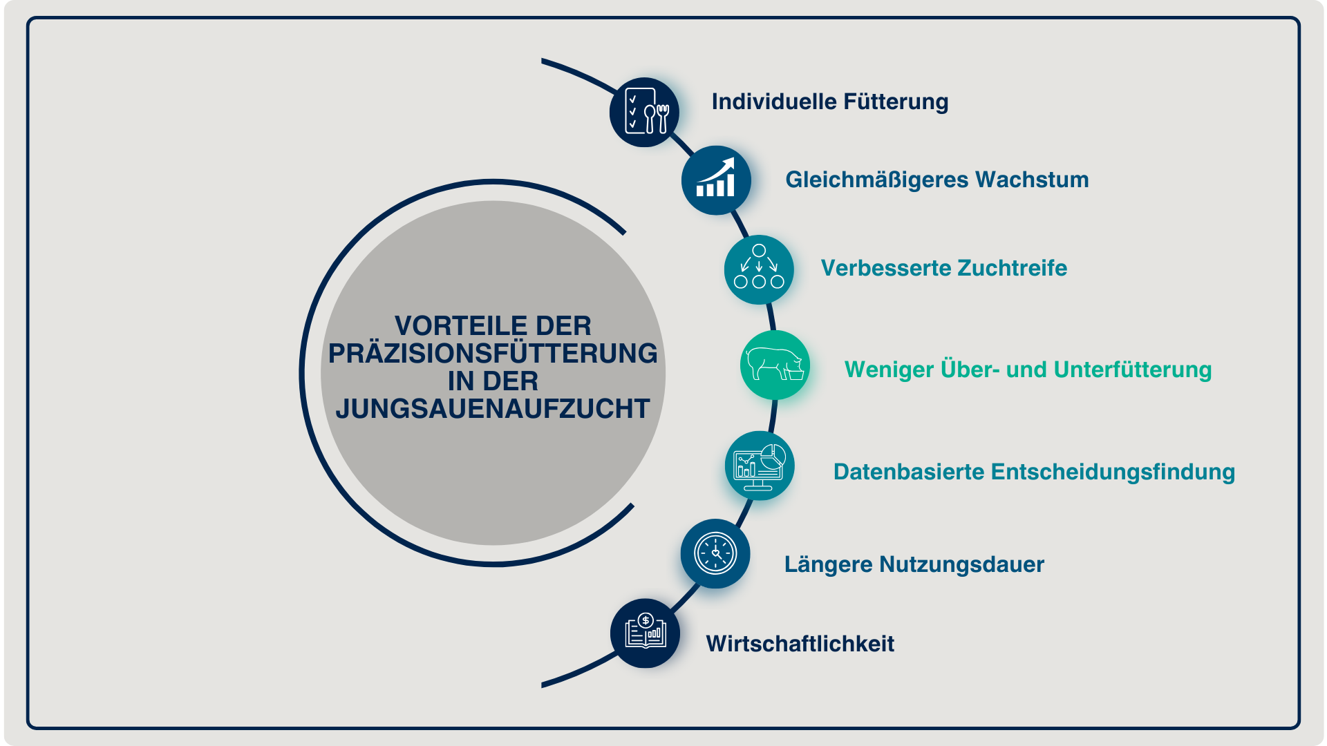 Vorteile der Präzisionsfütterung in der Jungsauenaufzucht