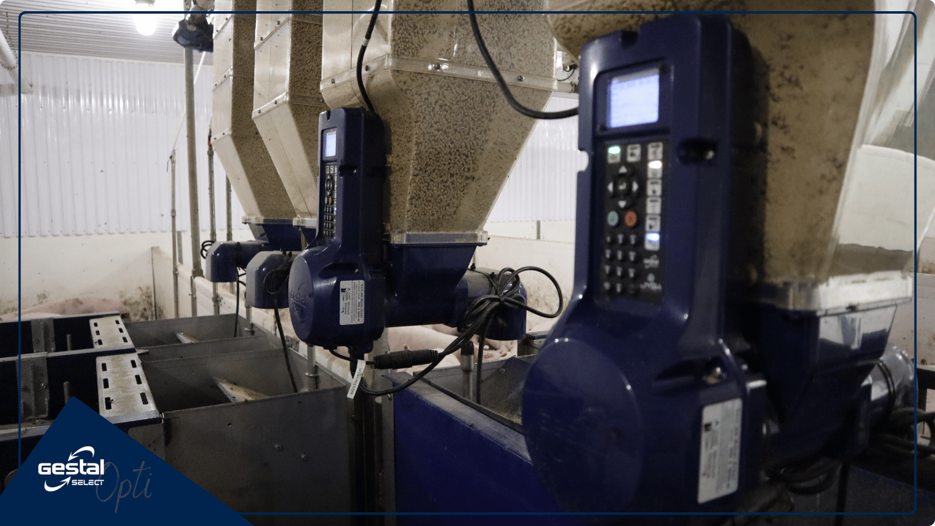 GESTAL Select Opti to optimize gilt performance