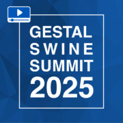 Video from the GESTAL Swine Summit